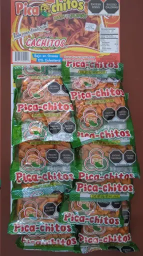 CARTERA PICACHITOS 10/10